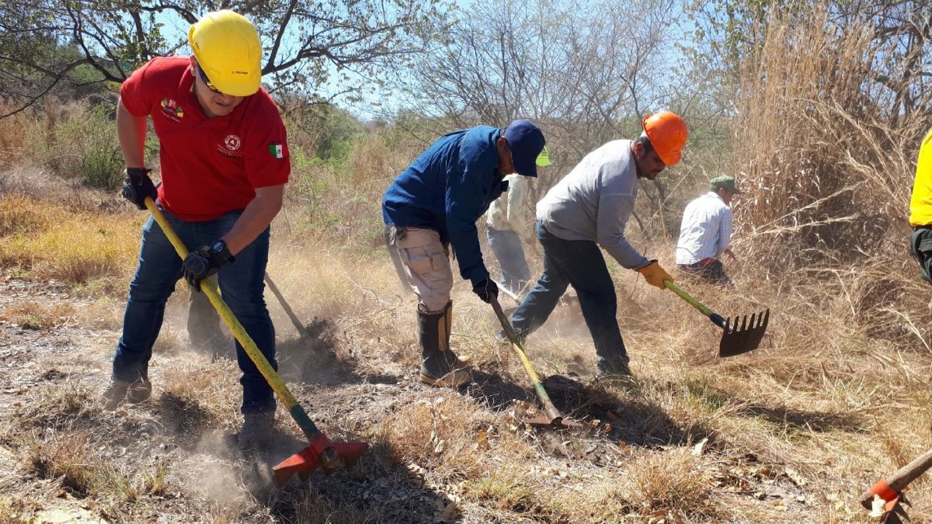Buscan prevenir incendios forestales