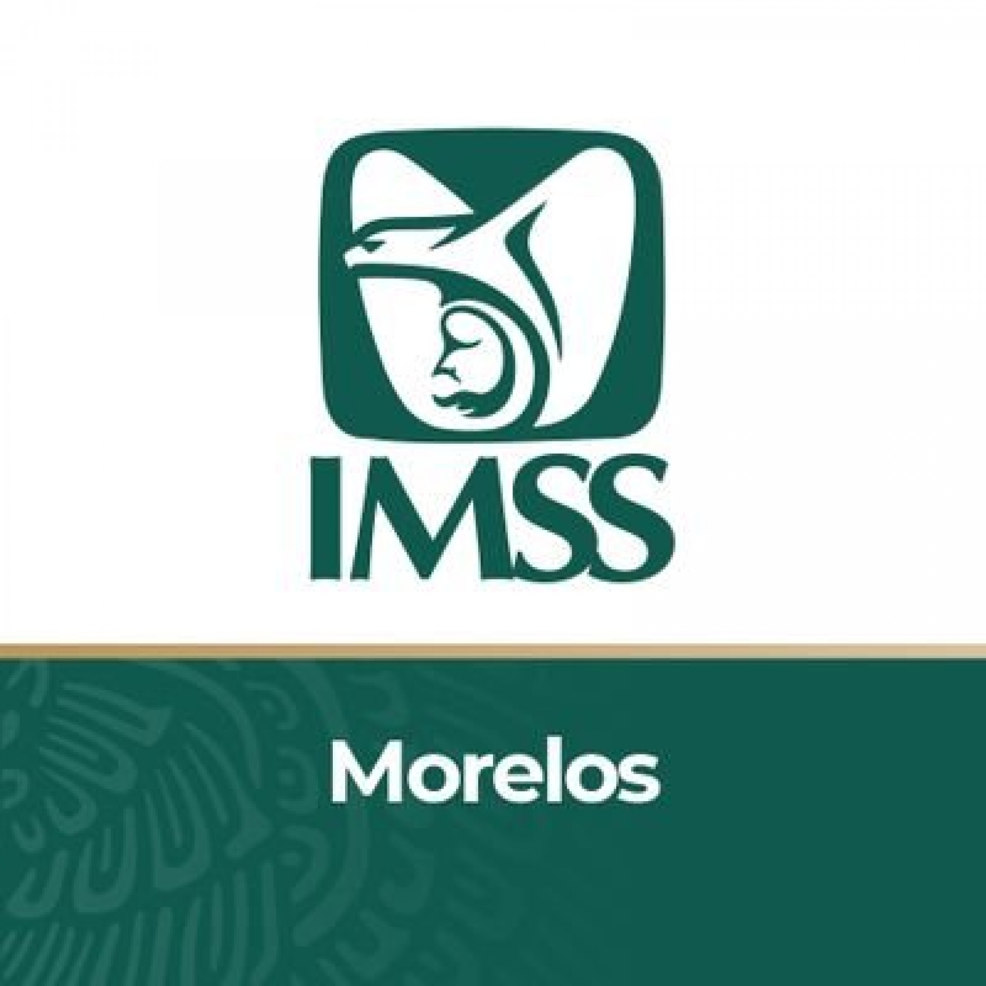 Supervisan autoridades del IMSS instalaciones del hospital San Diego en Cuautla