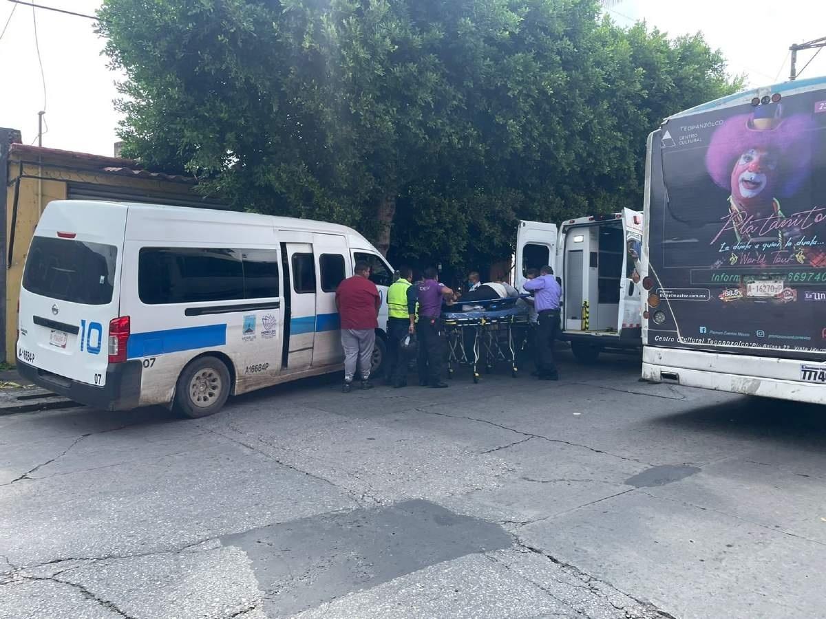 Choca “ruta” contra un árbol en Leandro Valle