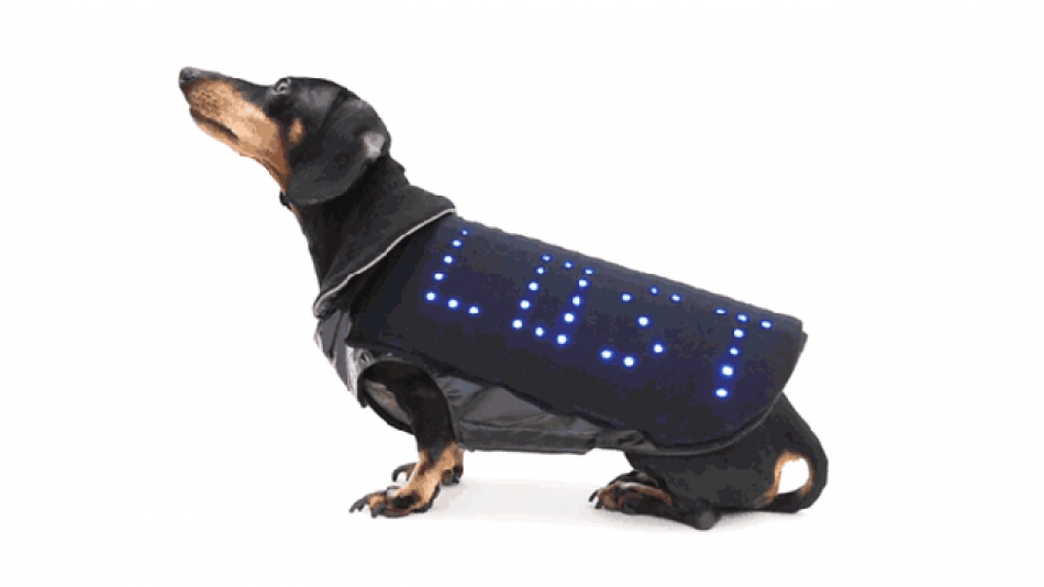 Nunca perderás a tu perro gracias a esta ropa inteligente