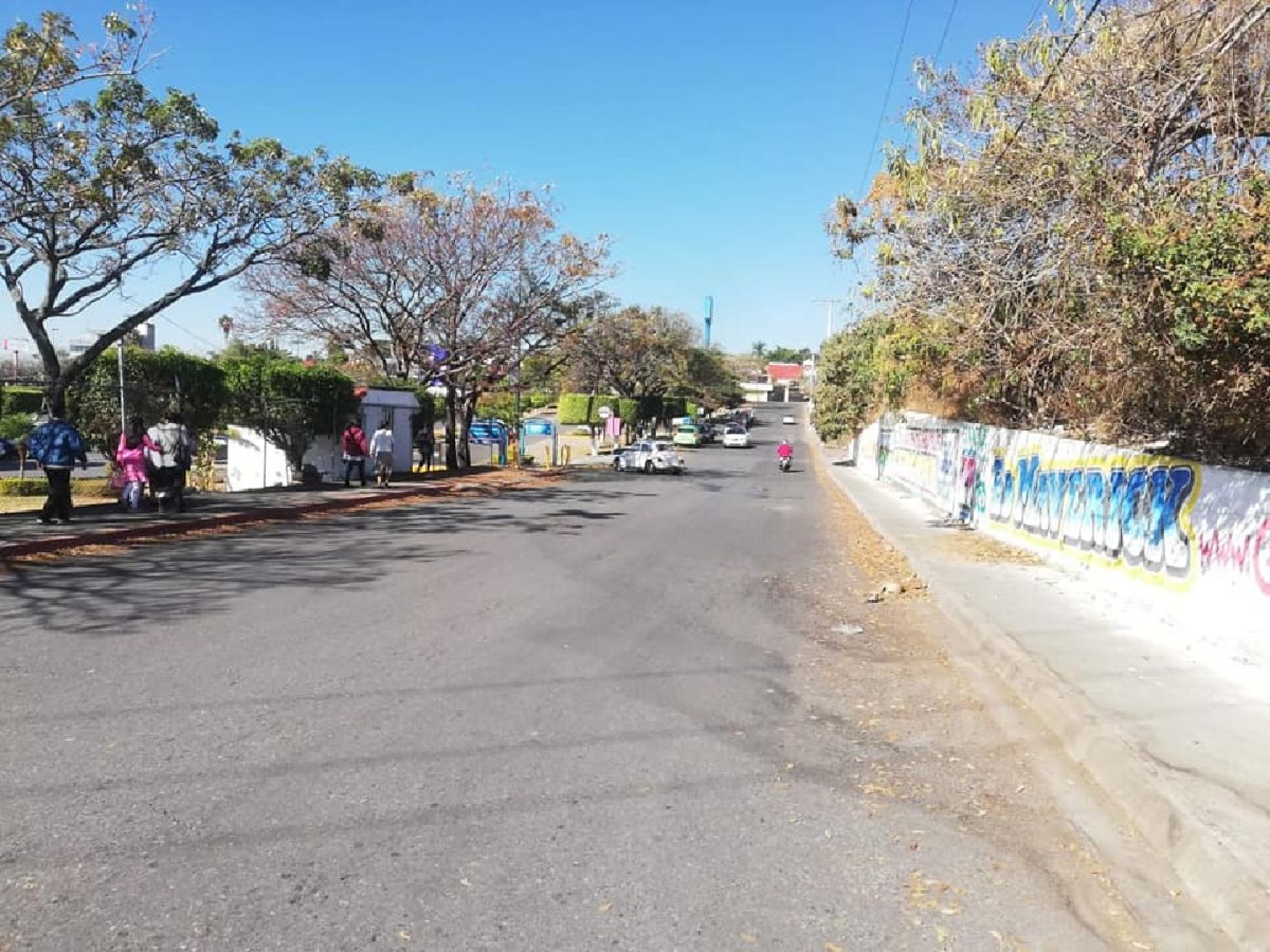 Cuida Cuernavaca bienestar animal