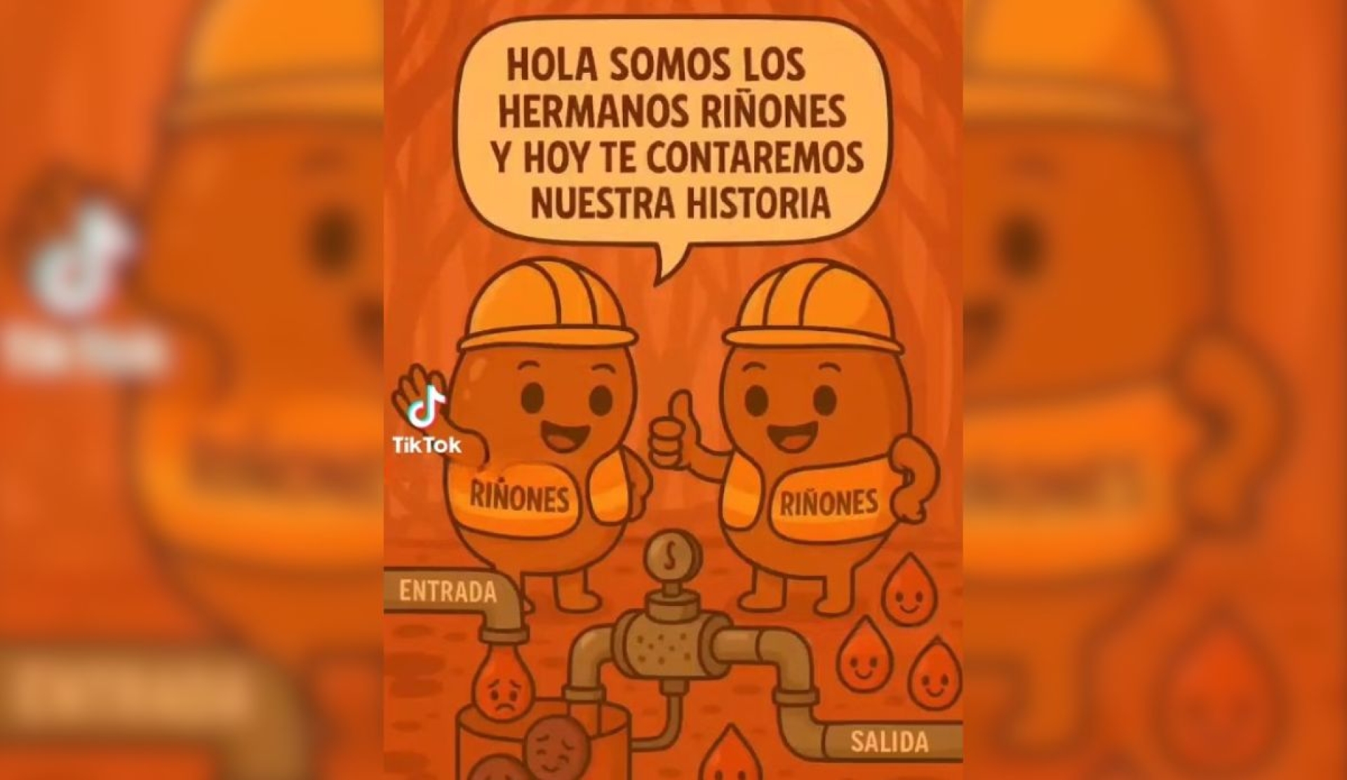'Los hermanos riñones': video viral enseña peligro de no beber suficiente agua