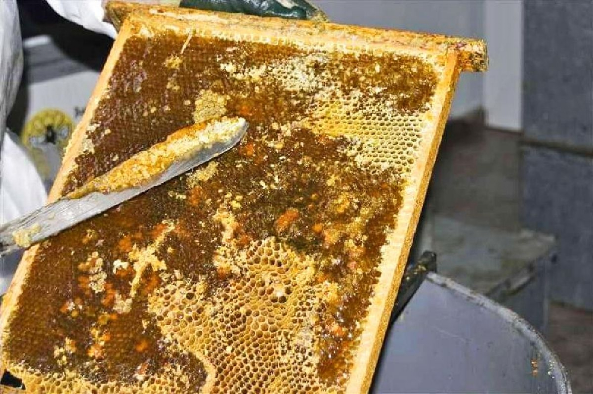 Aprovecha la pandemia para vender miel