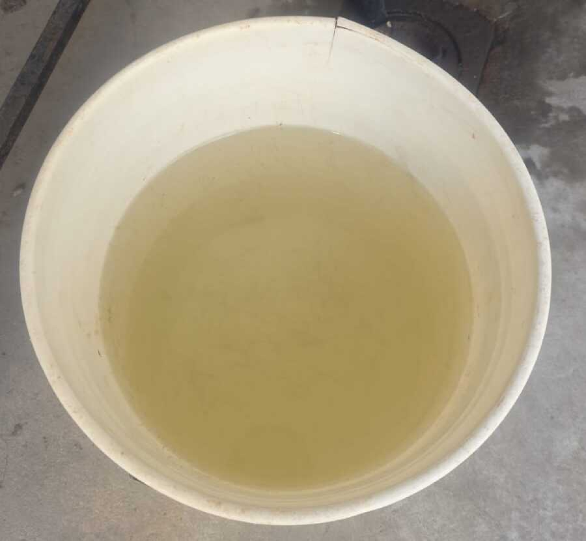 Denuncian vecinos de Ciudad Chapultepec contaminación del agua; piden apoyo de SAPAC