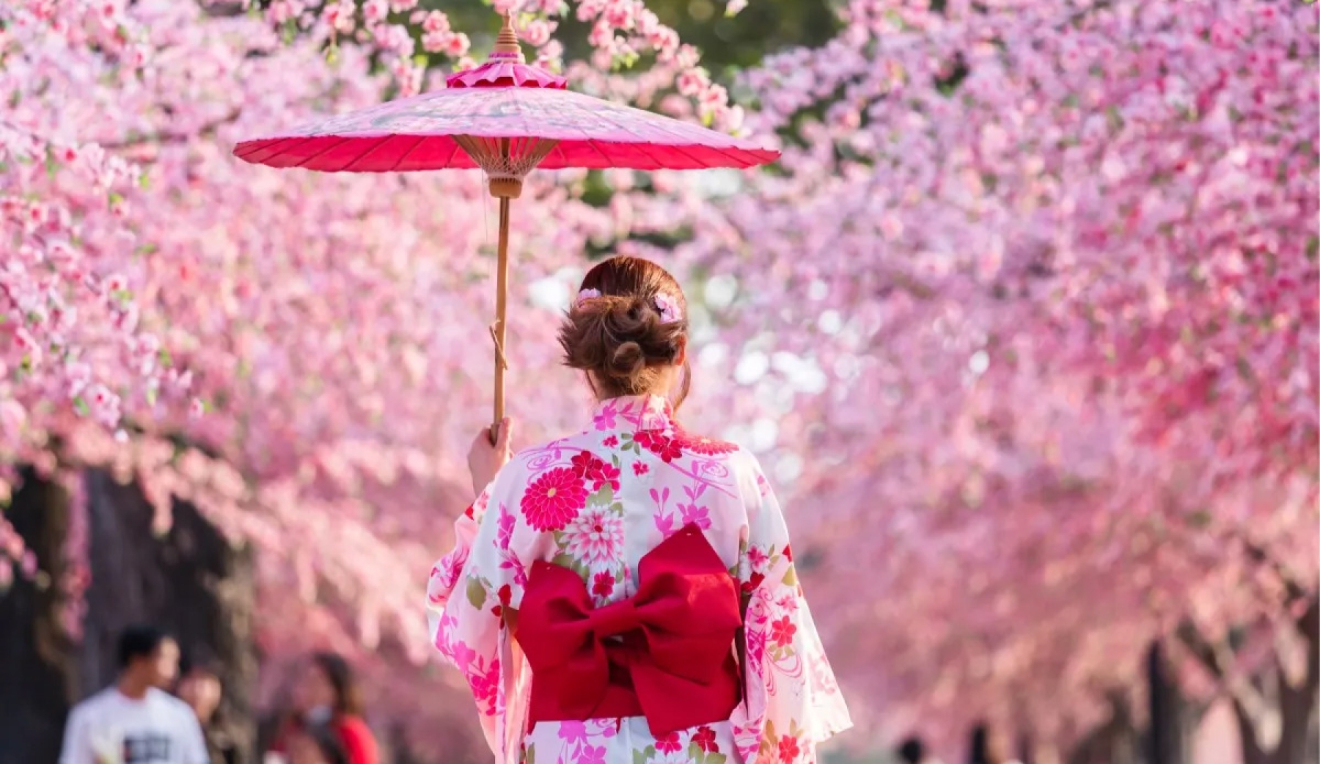 La Costumbre Japonesa del 'Hanami' para Reducir el Ruido Mental