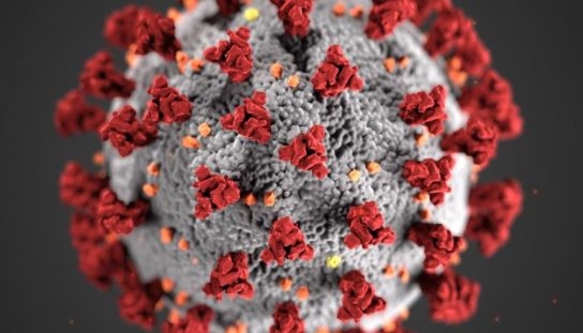 El coronavirus nos acompañará durante mucho tiempo: OMS