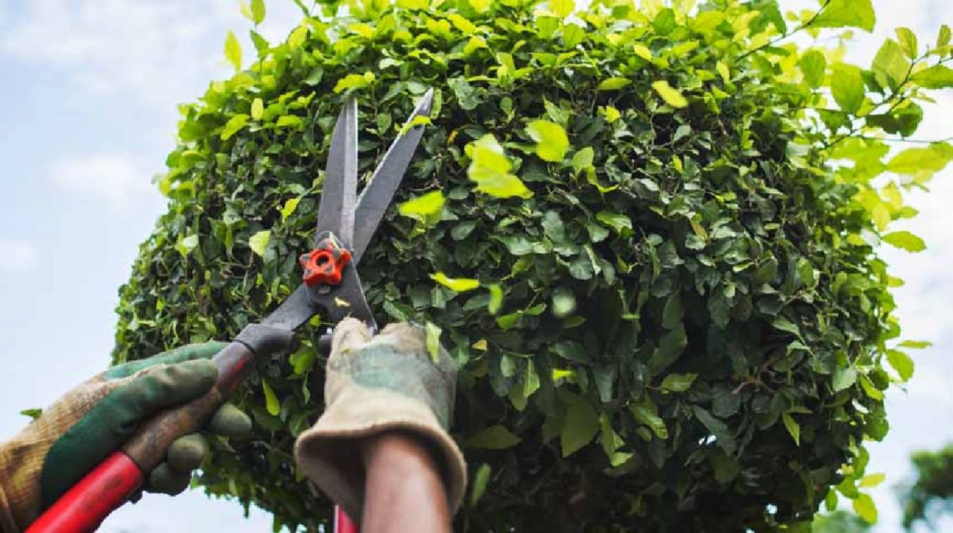 Proponen actualizar reglamento de ecología