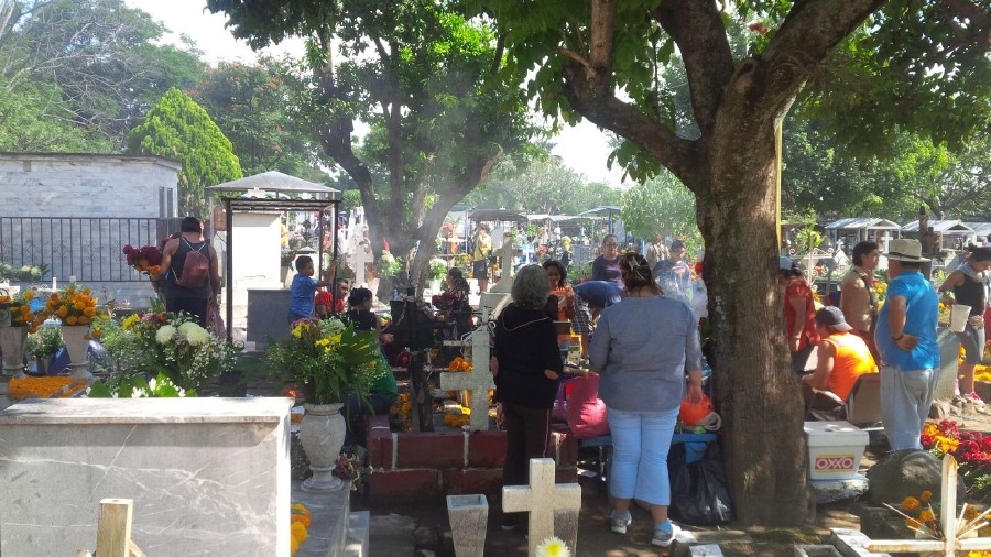 Retira bomberos insectos ponzoñosos en panteones