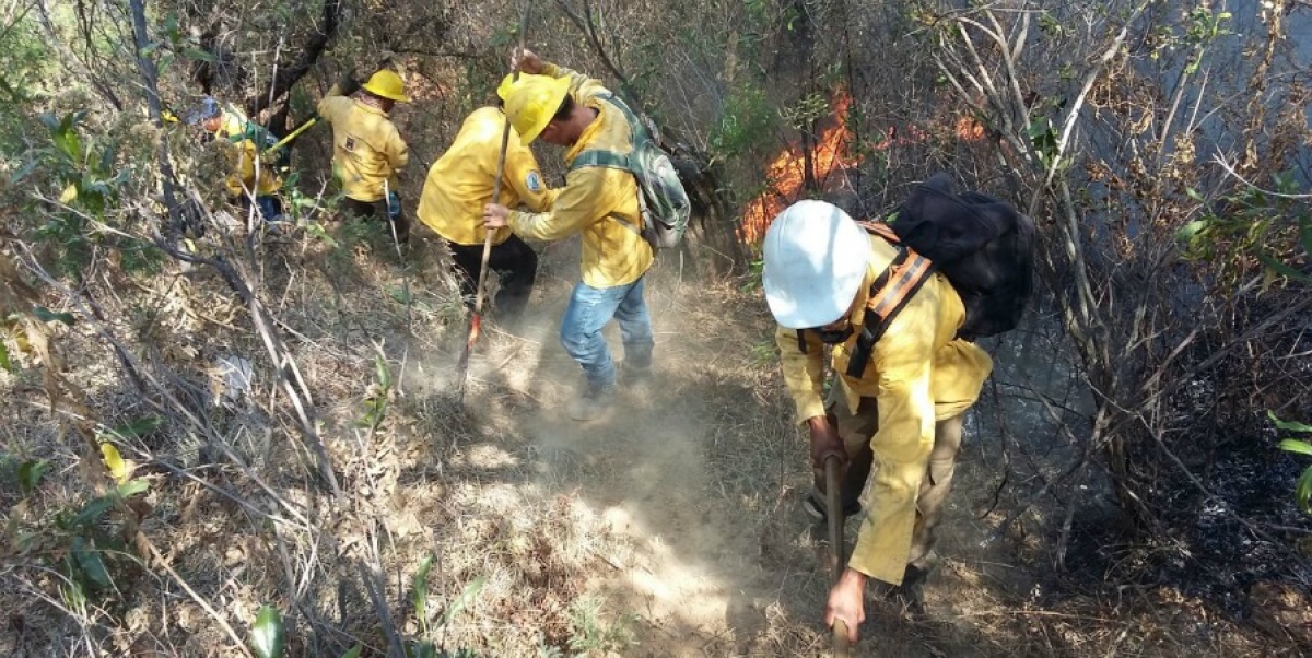 Se registran tres incendios forestales, al norte de Cuernavaca