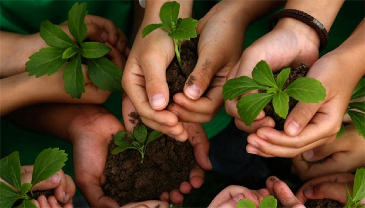 La educación ambiental debe promoverse en todos los niveles educativos: Progau