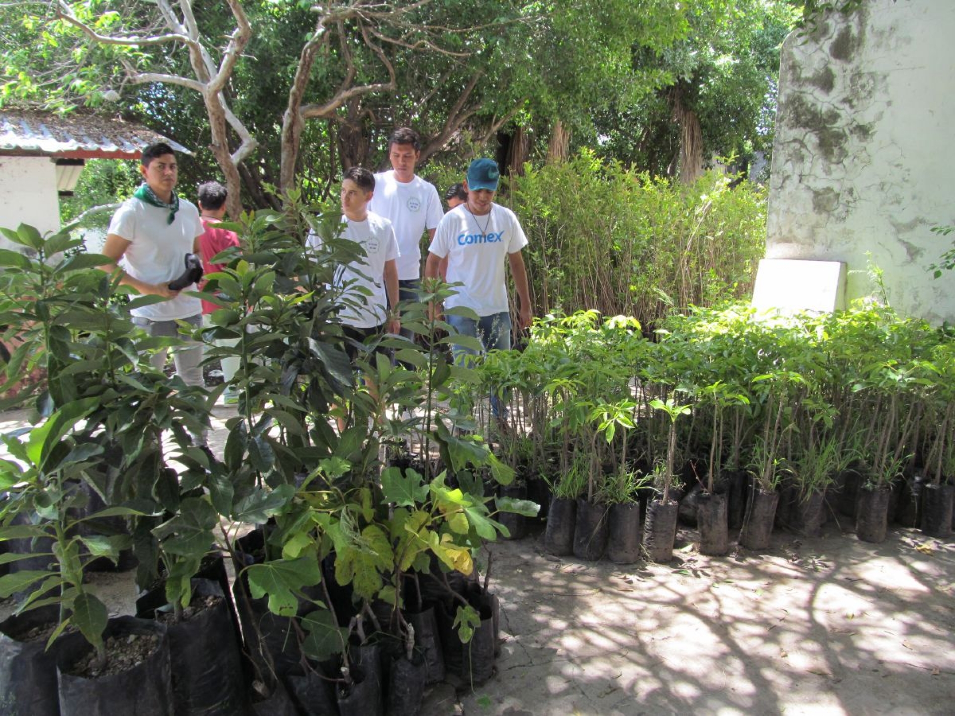 Realizan campaña de reforestación en Jojutla