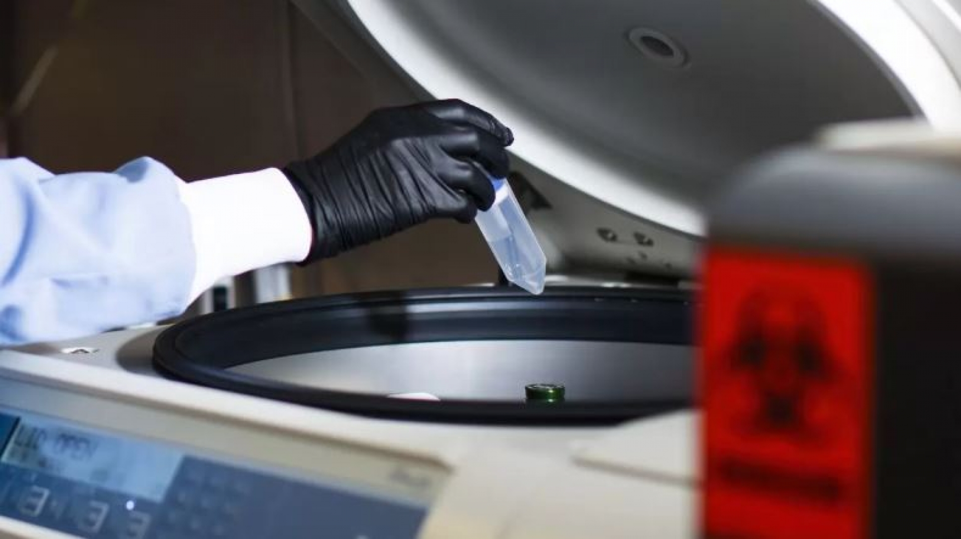 Pfizer y BioNTech inician ensayo de fase final para vacuna experimental contra el COVID-19
