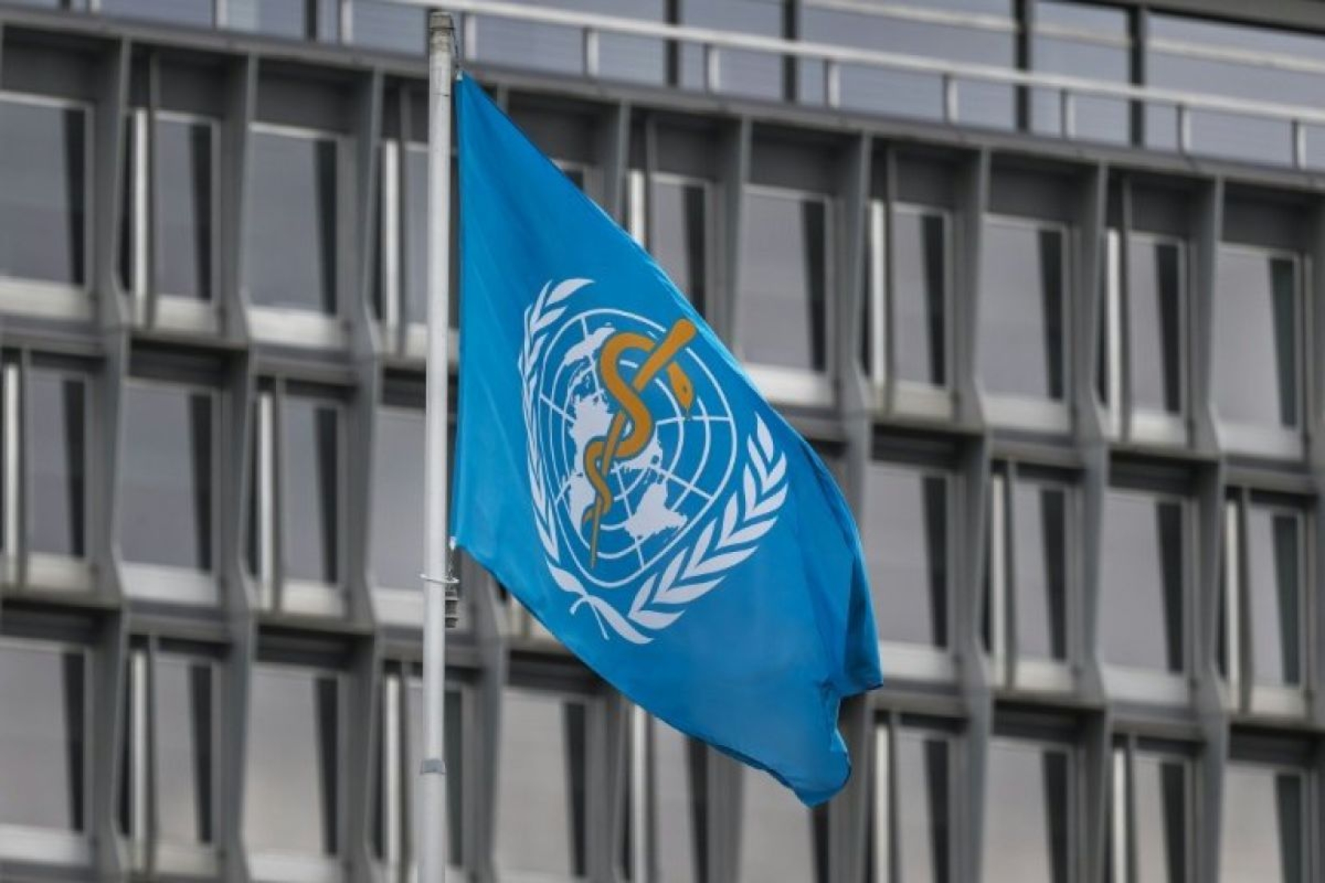 Director de la OMS asegura que hantavirus no es otro covid