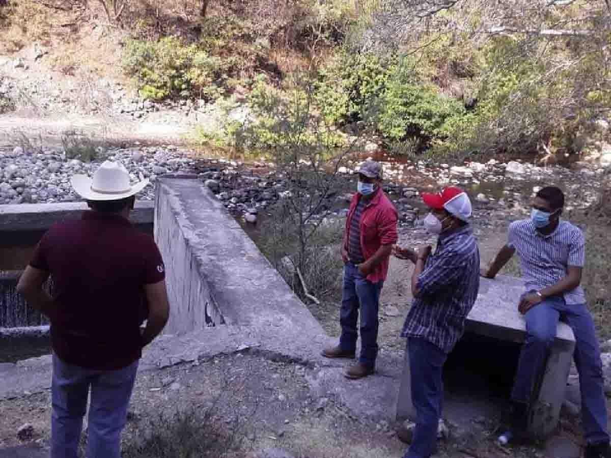 Buscan involucrar a autoridades acerca del funcionamiento del canal “Perritos”
