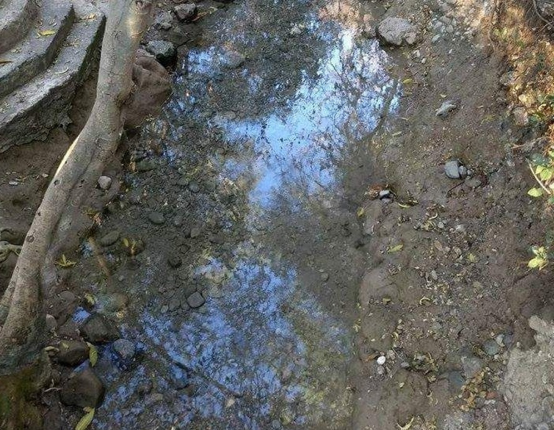 Temen ejidatarios daños en la economía por desaparición de los manantiales “Ojos de Agua”