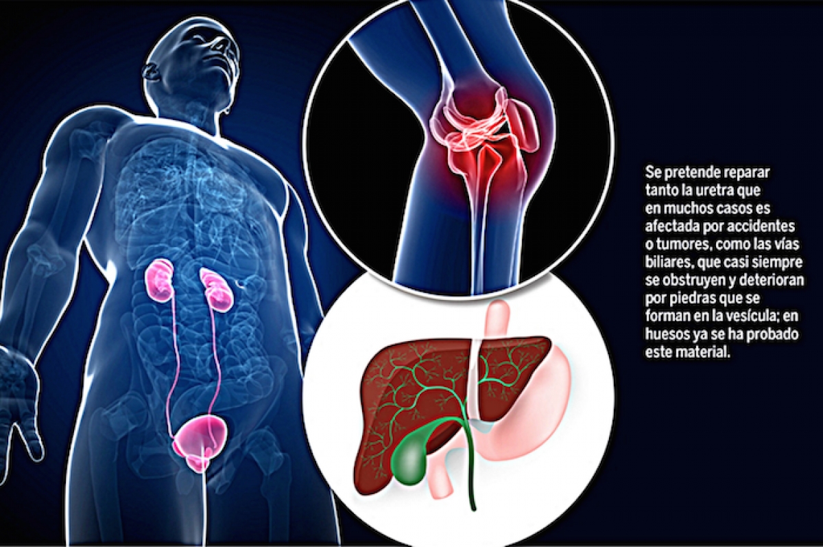 Científicos de la UNAM desarrollan bioprótesis para regenerar tejidos
