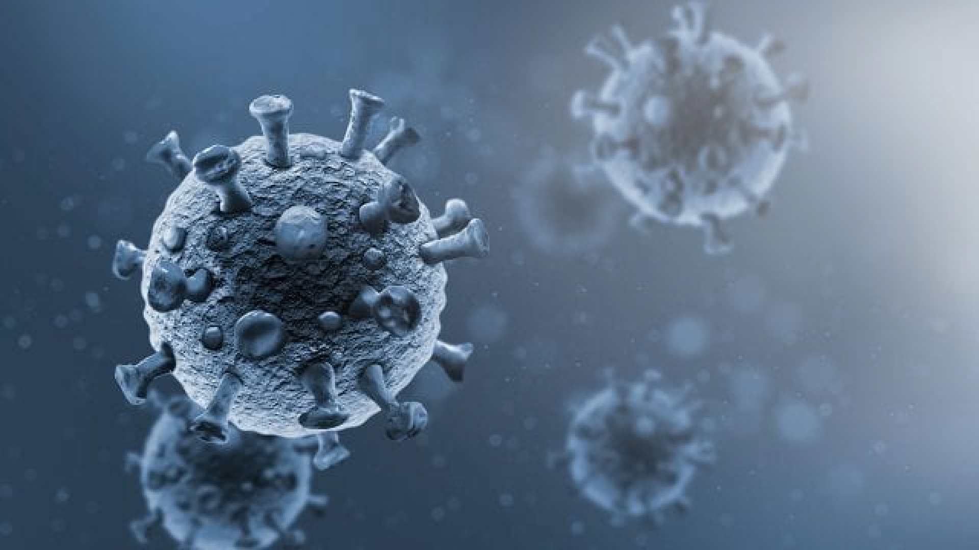 La erradicación del coronavirus es poco probable: OMS