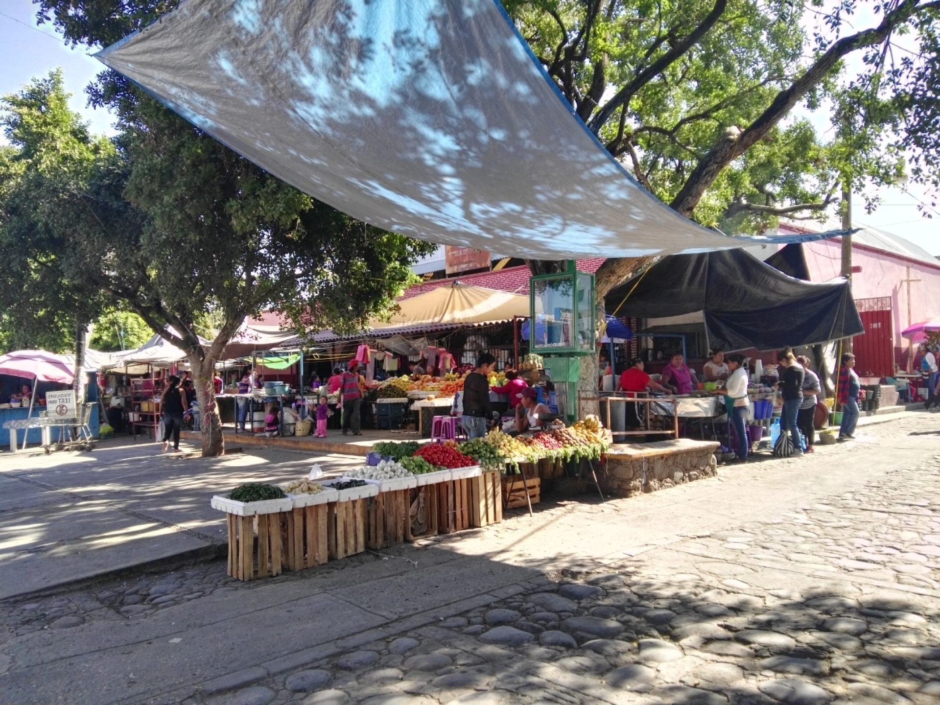 Refuerzan medidas sanitarias en el mercado de Miacatlán