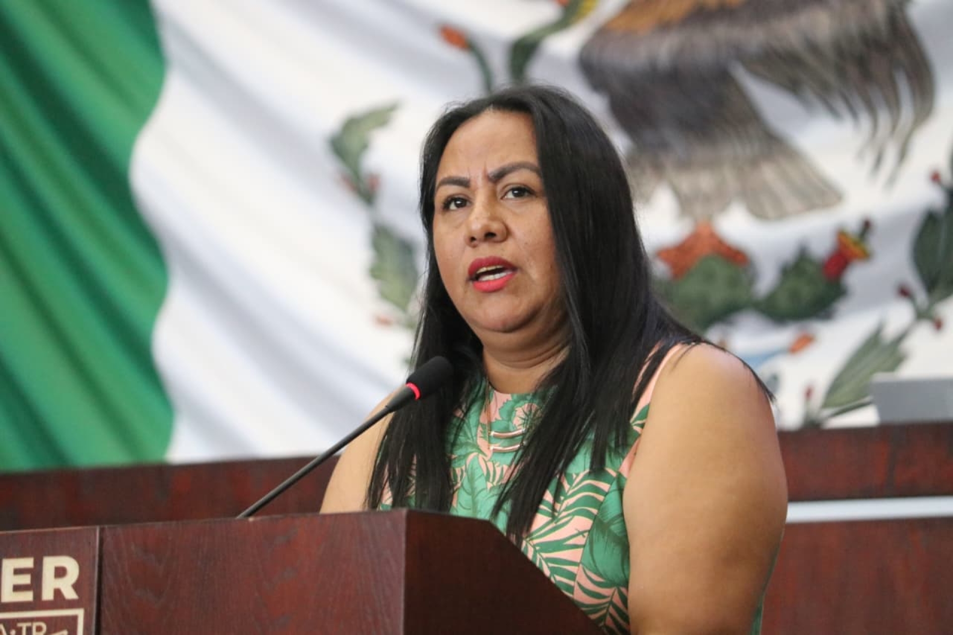 Presenta Jazmín Solano de manera formal ante el Congreso la iniciativa de 'Ley Tentativa de Feminicidio'