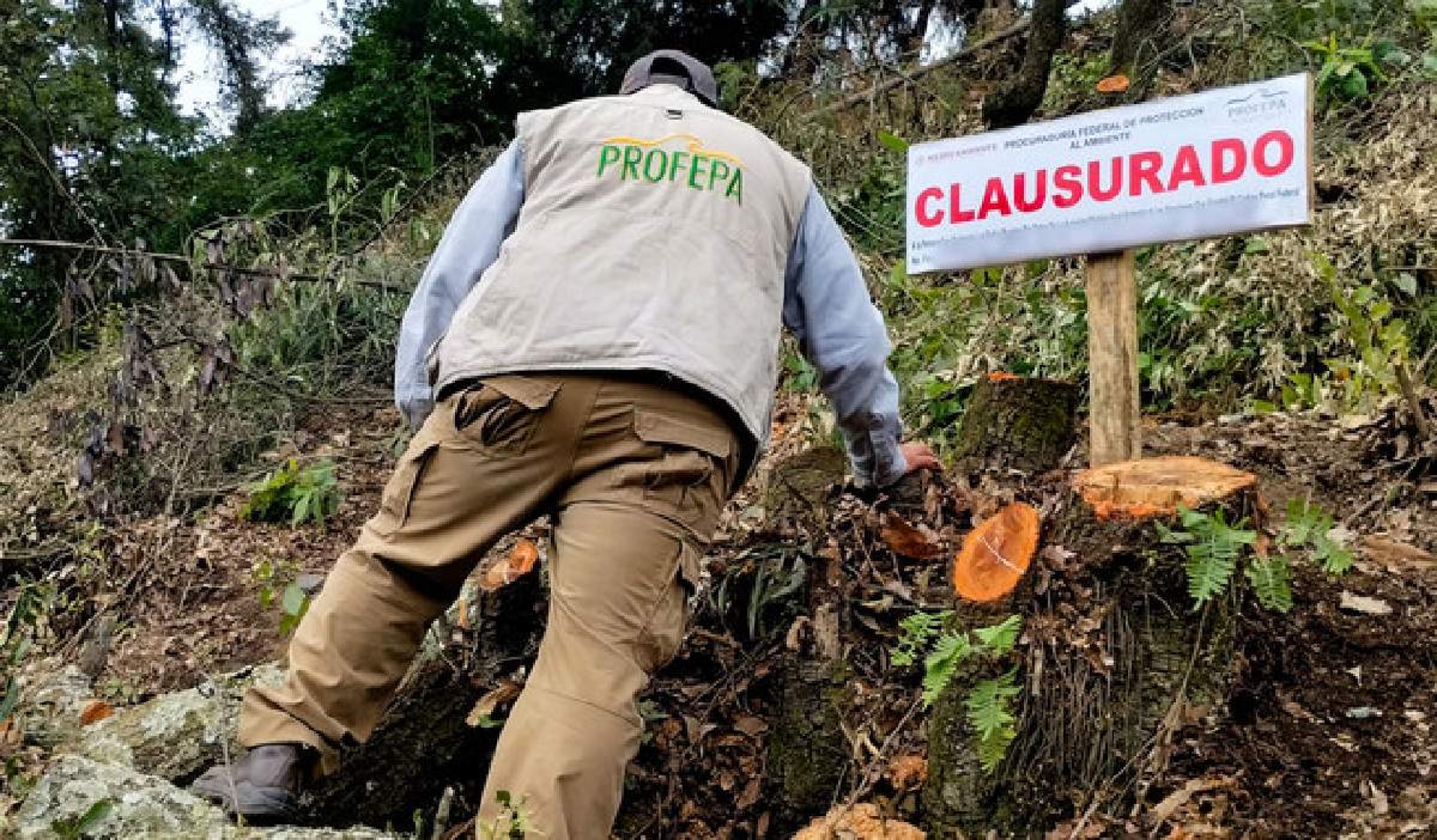 Clausura Profepa un predio en Hueyapan y desmantela aserradero en Huitzilac