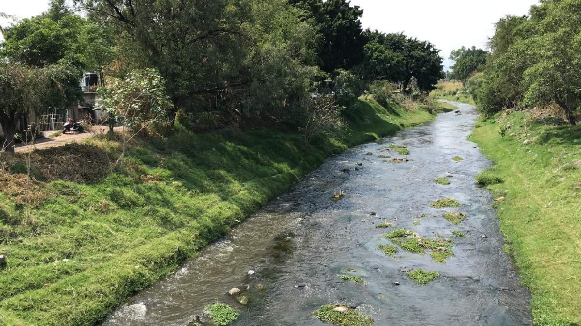 Más de 100 descargas de aguas negras contaminan el río Cuautla