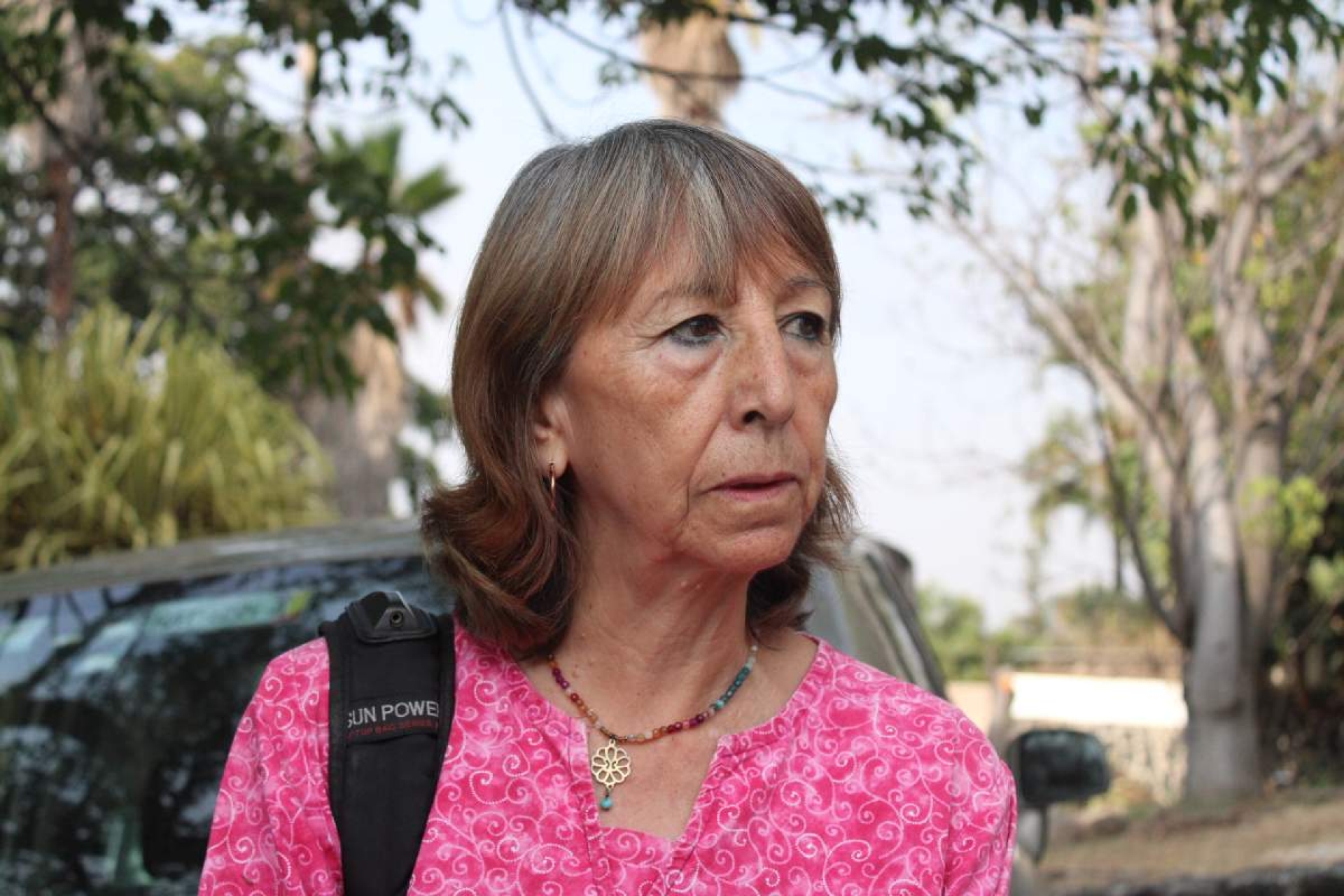 Llaman a poner alto a la deforestación, ante intenso calor