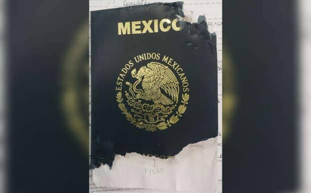Perrita se come el pasaporte de su dueño