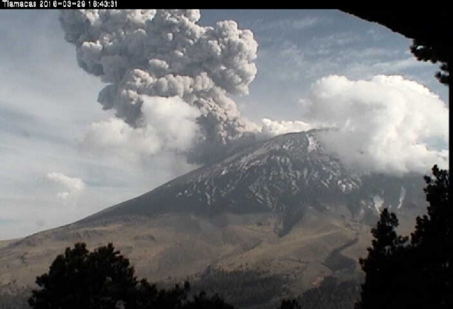 Emite fumarola de 3.5 kilómetros el volcán Popocatépetl