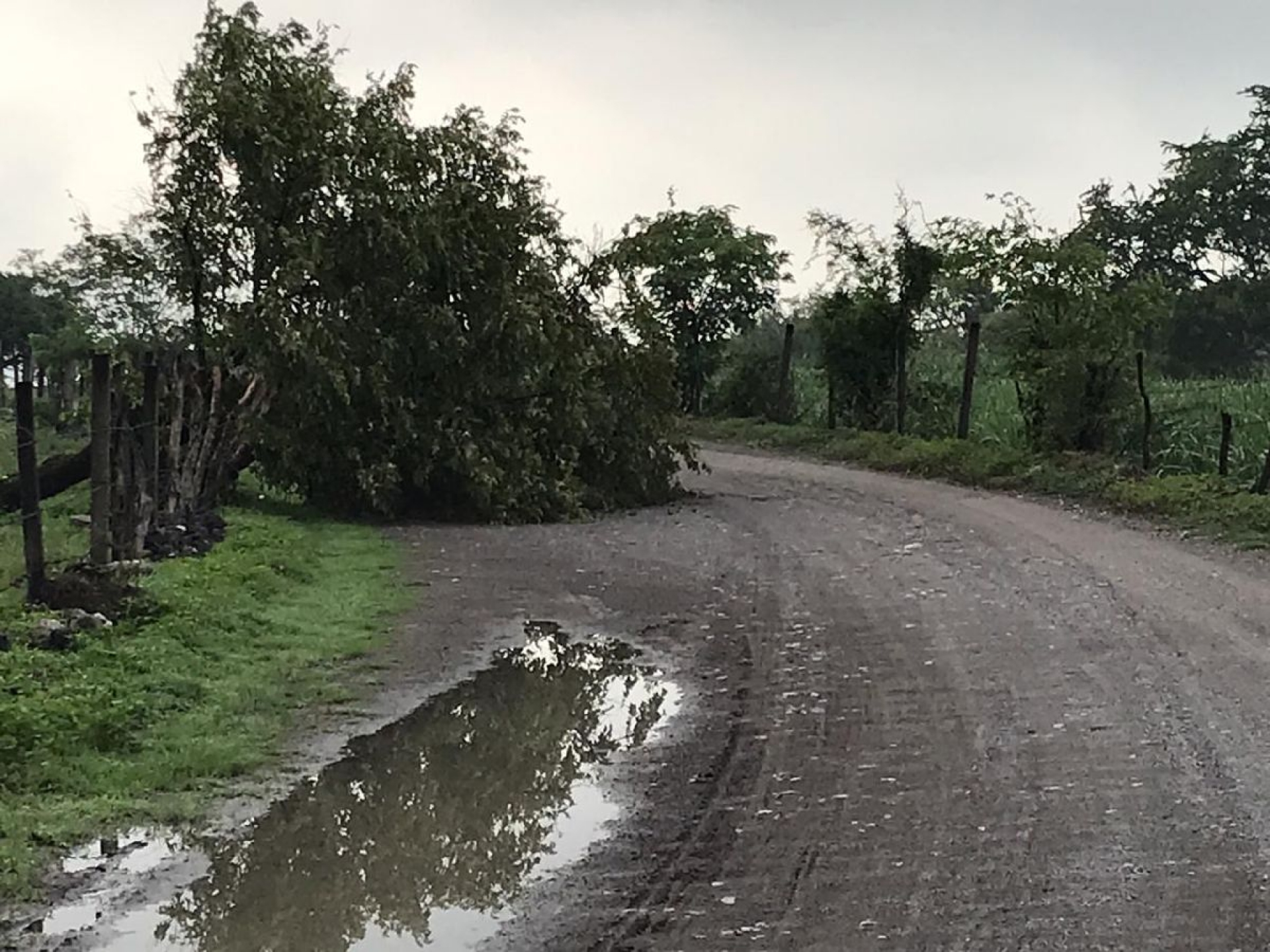 Reportan afectaciones en Tlaltizapán por lluvias