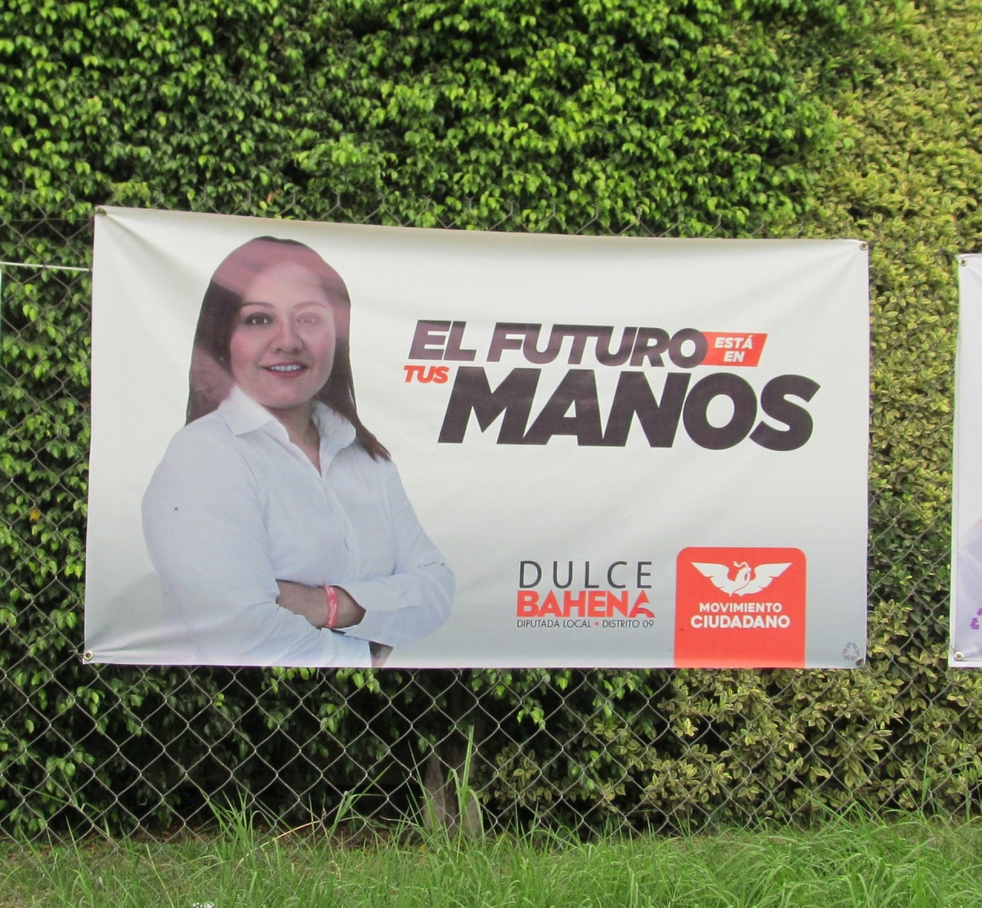 Matrimonio va en busca de una diputación