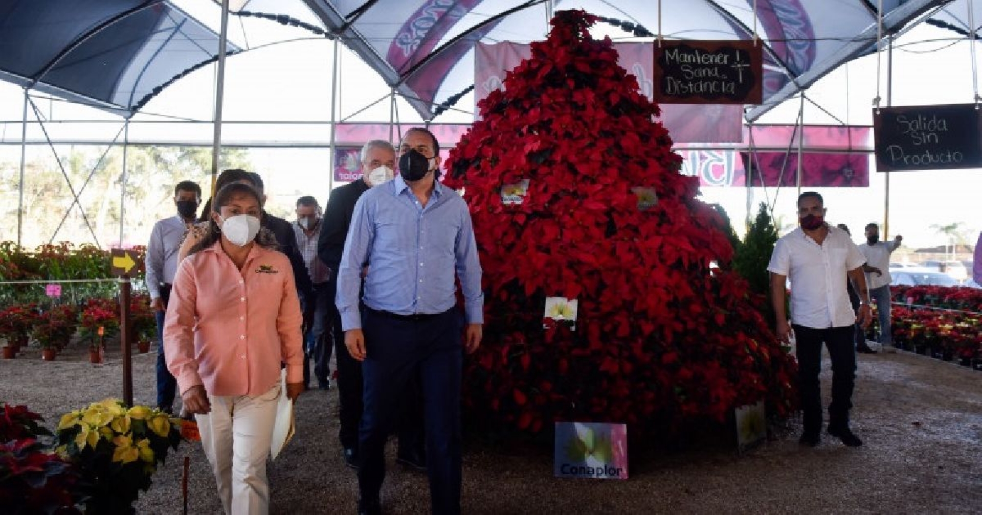 Inicia en Morelos la temporada de Nochebuena
