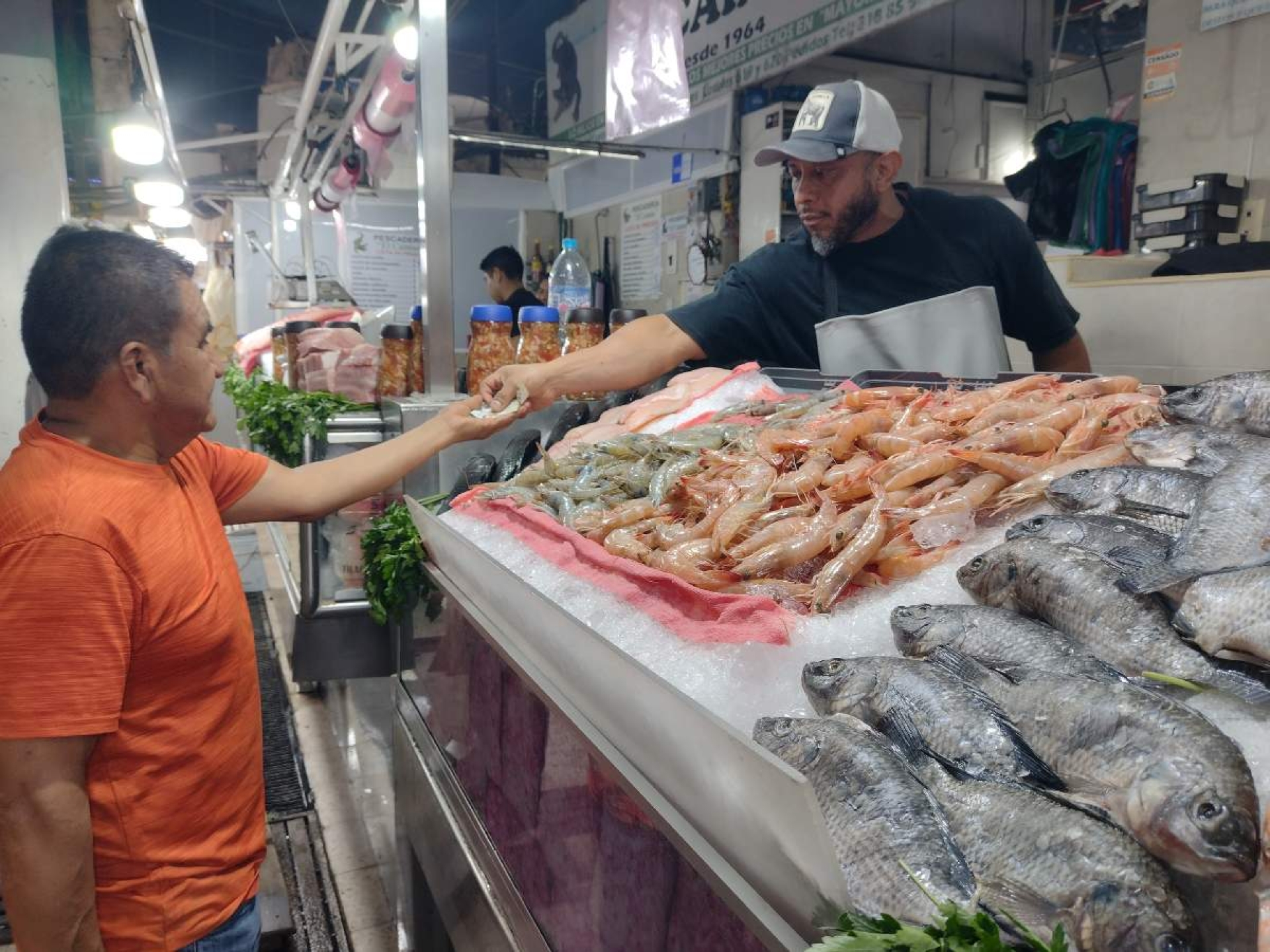 Llaman a prevenir enfermedades por consumo de productos del mar
