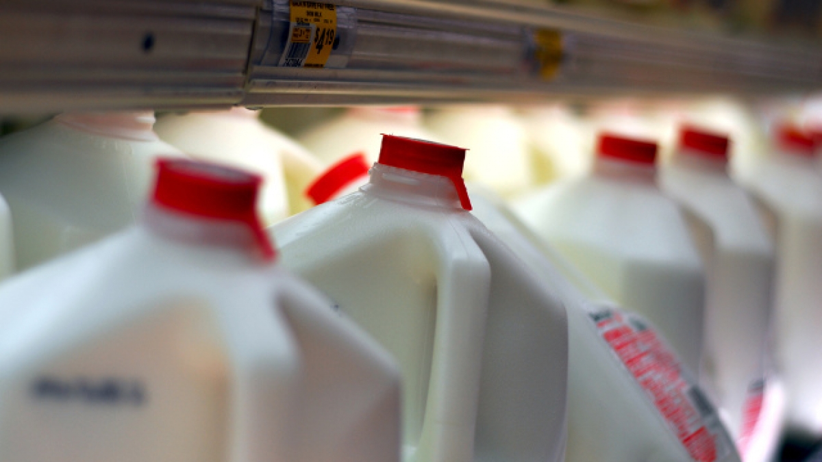 Científicos de la Universidad Iberoamericana desarrollan leche para diabéticos