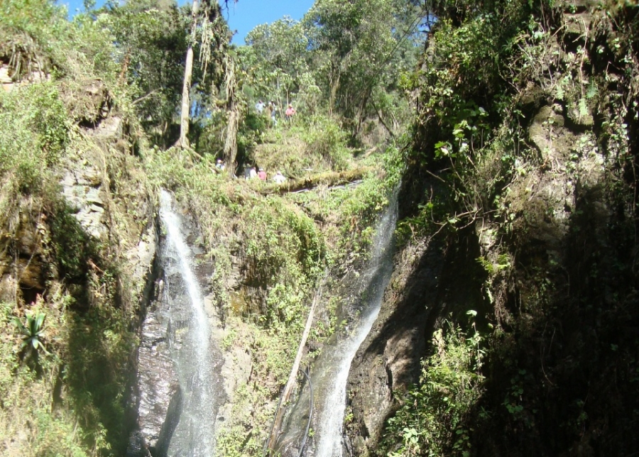Reconocen disminución de recursos naturales en Tetela del volcán