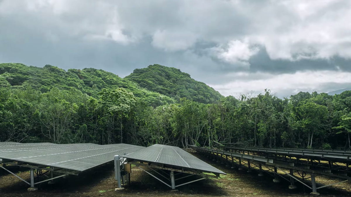 Tesla abastecerá con energía solar a una isla entera