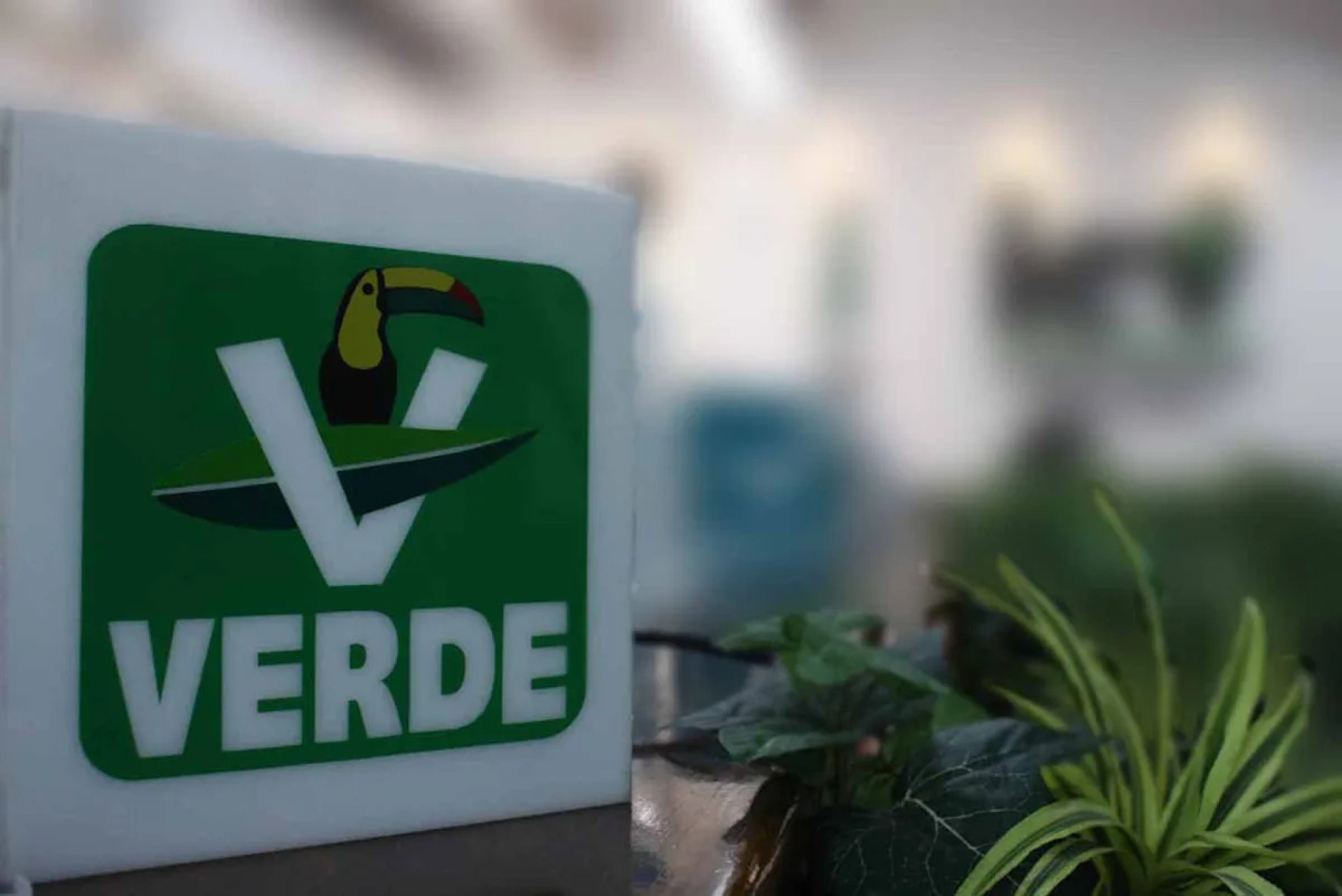 Partido Verde competirá sin alianzas en 2027 en SLP y CDMX