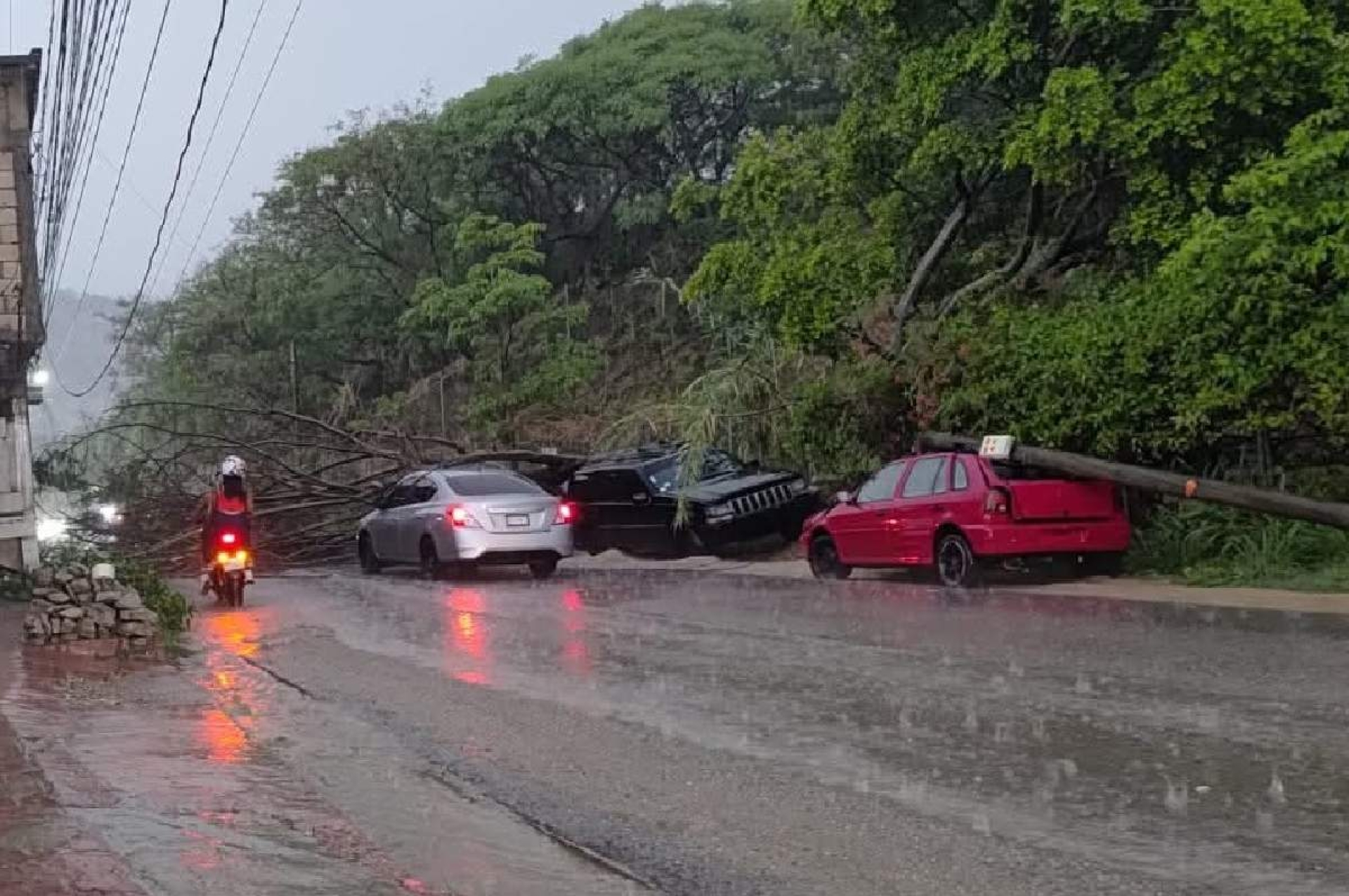 Choques y árboles caídos, saldo de granizada del lunes