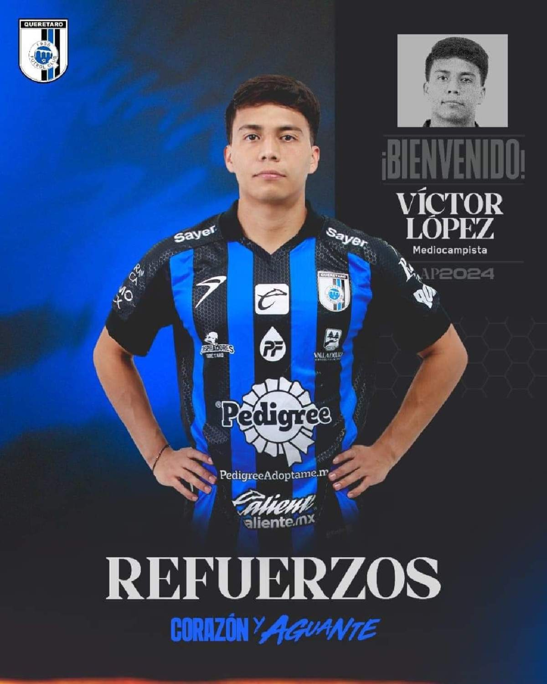 Refuerzo gallo