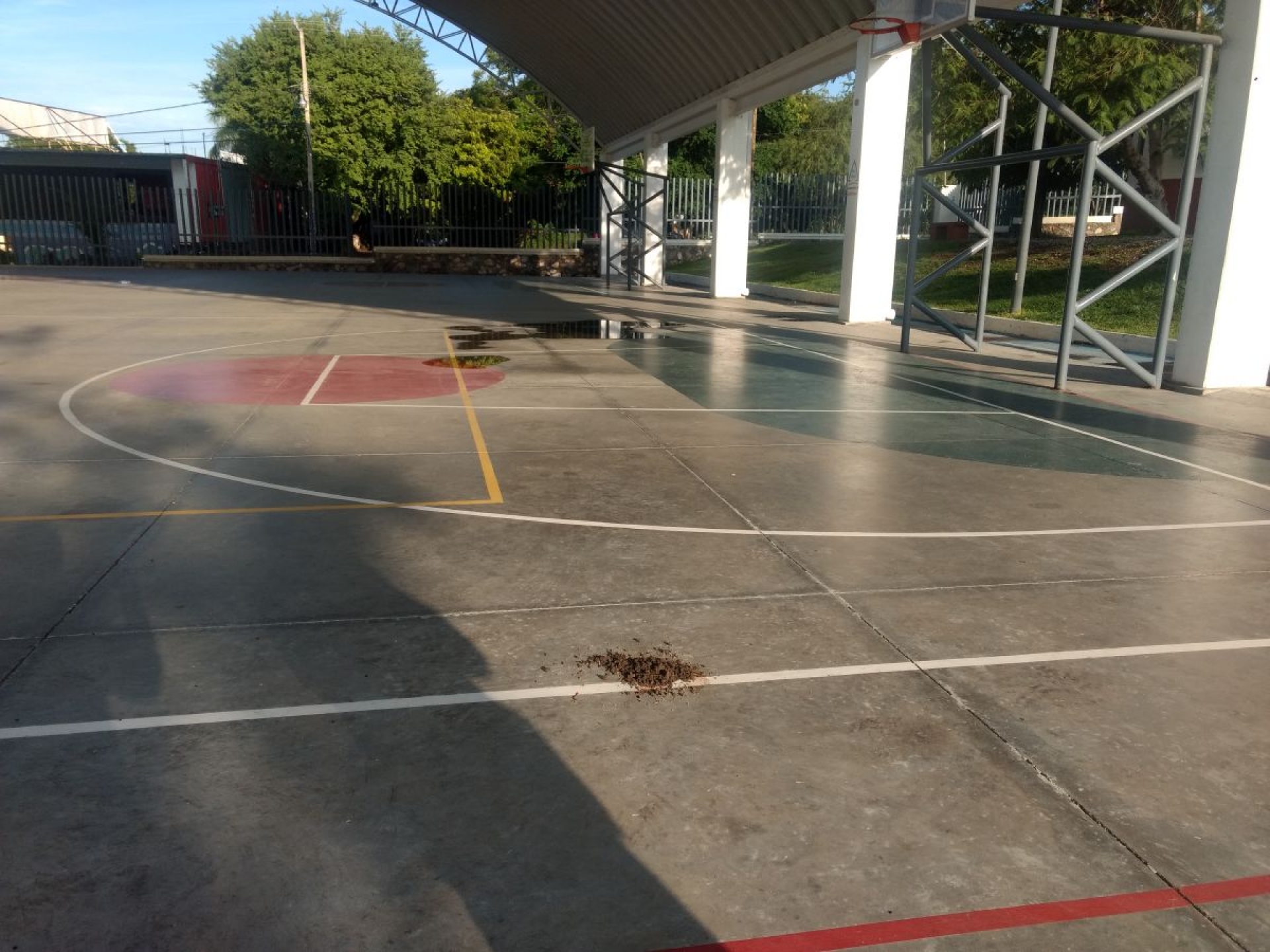 Hallan restos humanos en varios puntos de Xochitepec