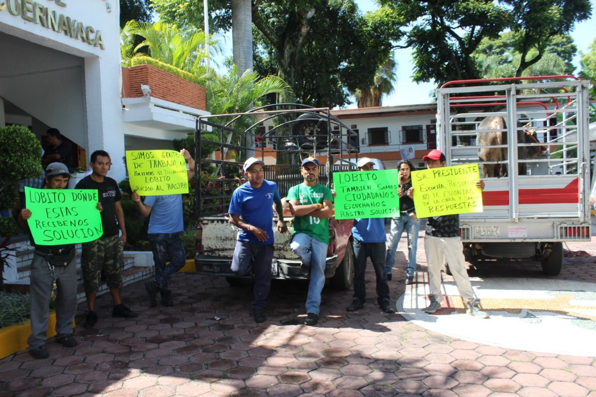 El martes se reanudará matanza de reses en rastro municipal: comuna