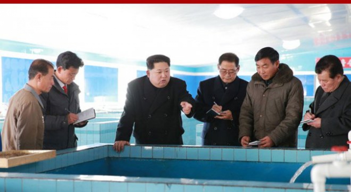 EU exige aislamiento total contra Corea del Norte ante la ONU