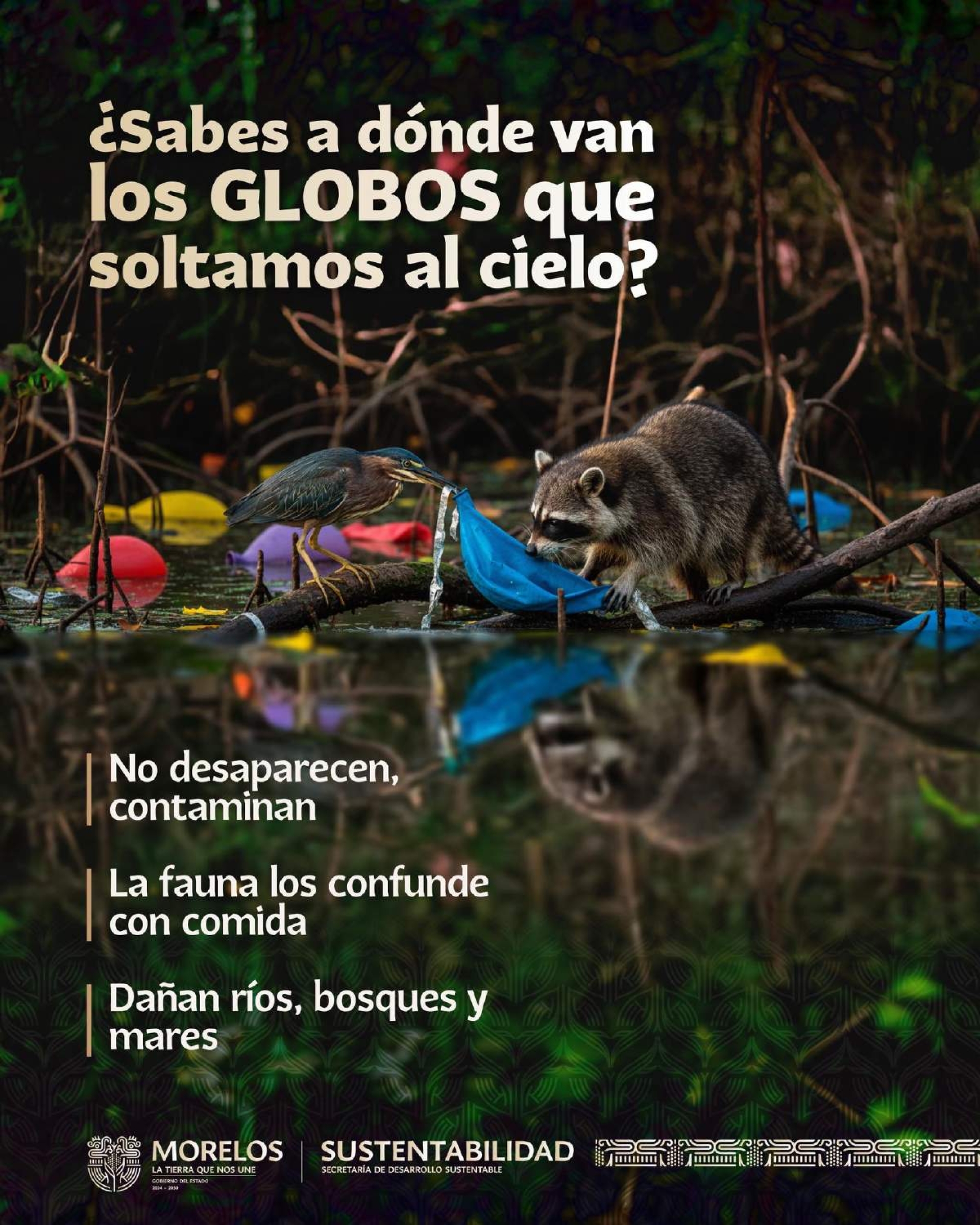 Llaman a erradicar prácticas que dañan el medio ambiente en festejos de Día de Reyes