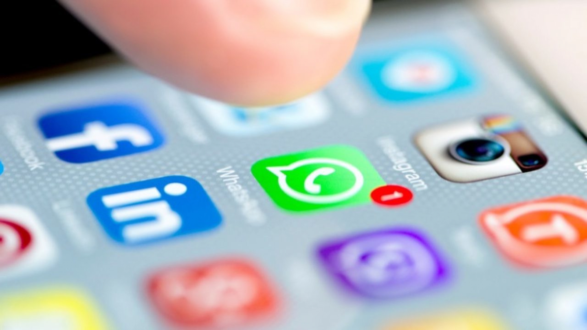 Por esta razón WhatsApp solo permite 256 participantes en un grupo
