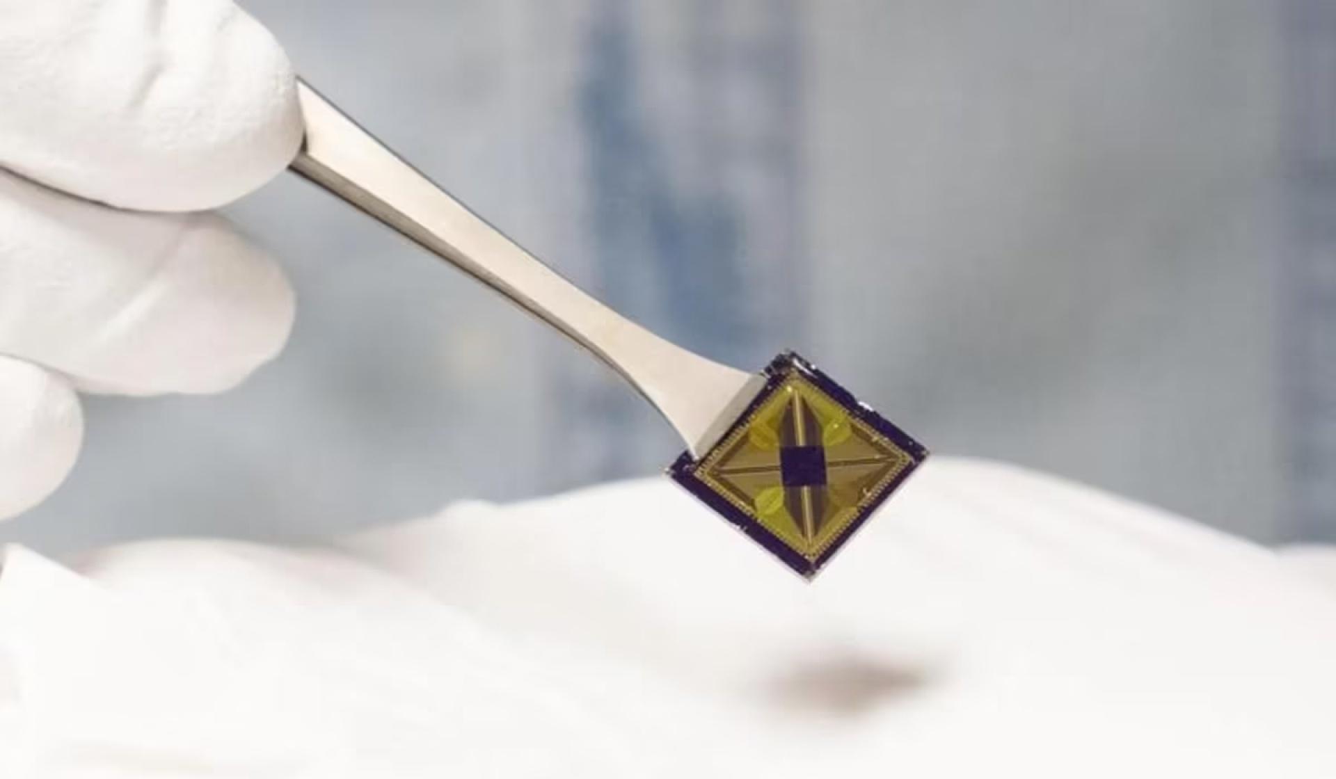 Crean 'lengua electrónica', saborea y reconoce alimentos con inteligencia artificial