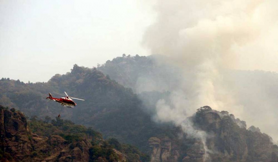 Los incendios forestales afectaron mil 400 hectáreas