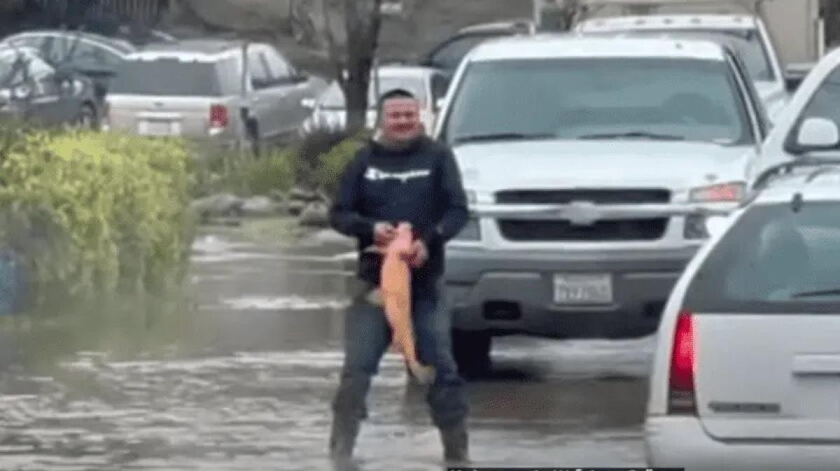 Hombre pesca su cena con las manos en calle inundada