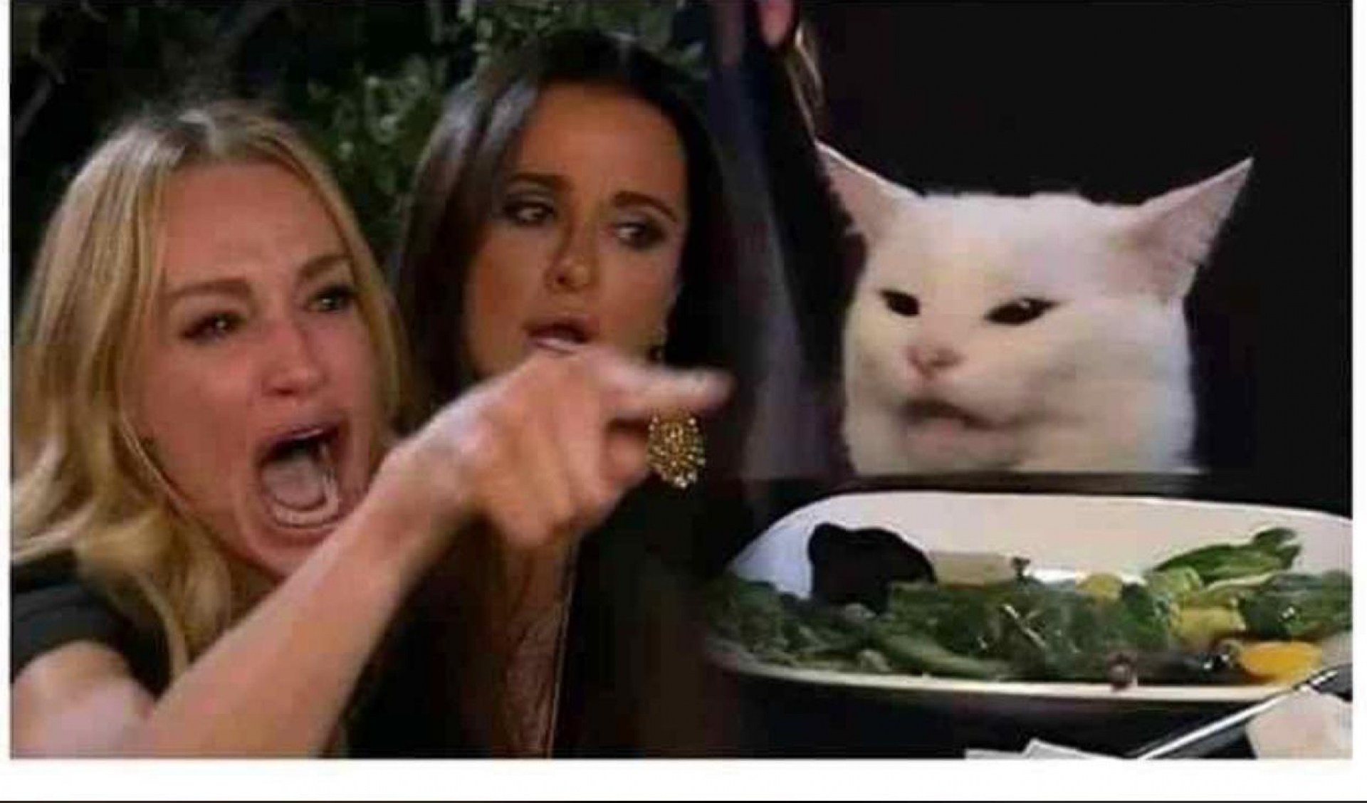 La historia detrás del meme de la mujer 'gritándole' a un gato