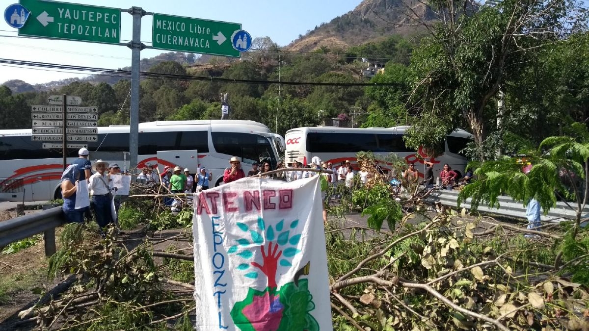 Cierran carretera y caseta en Tepoztlán por tala de árboles