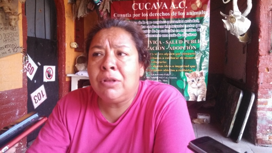 Desconocidos atacan un albergue para perros de la calle