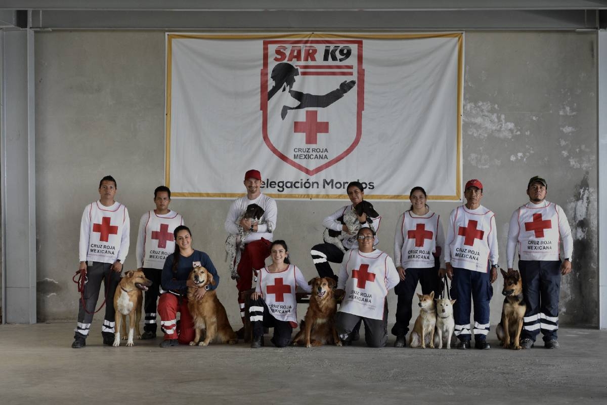 Los perros que salvan a los humanos